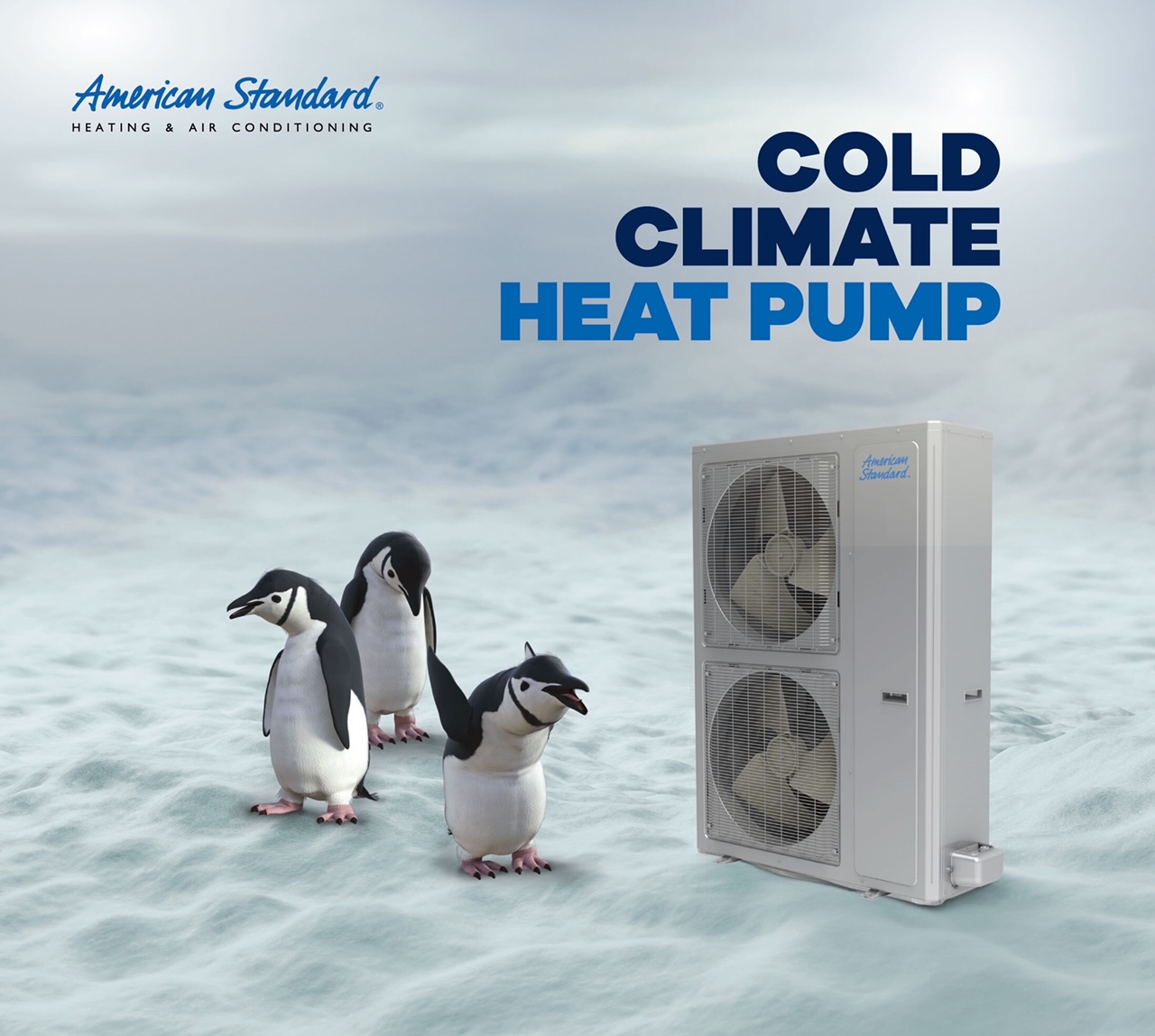 AS-Cold-Climate-Heat-Pump-Image_0601-2 (1)